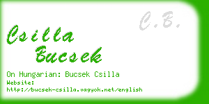 csilla bucsek business card